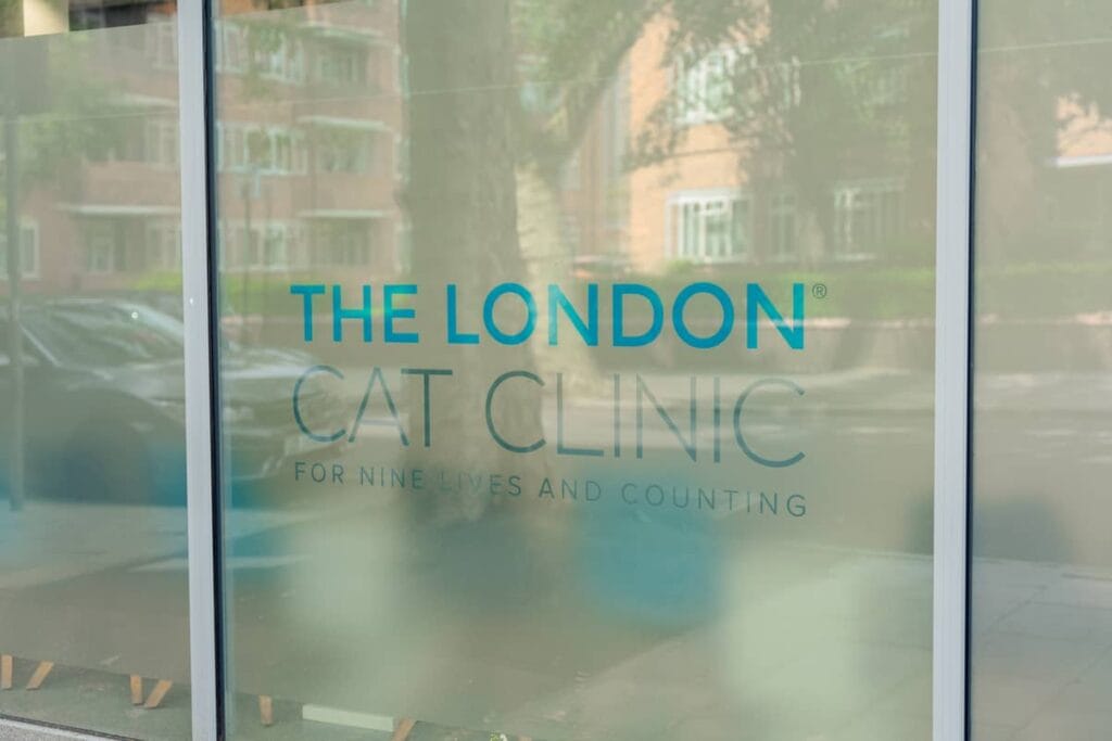 The London Cat Clinic #