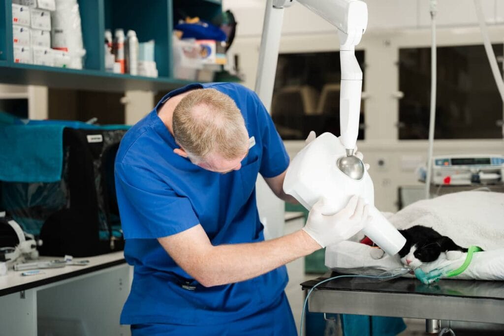 Dental Radiography #