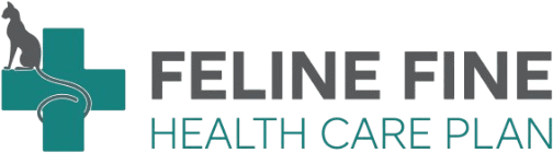 Feline Health Care Plan #
